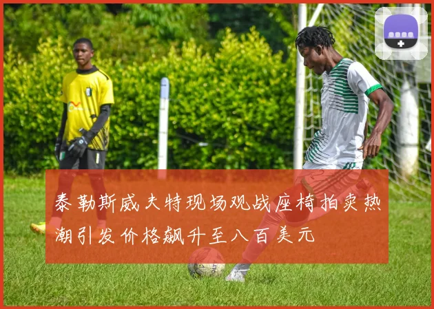 泰勒斯威夫特现场观战座椅拍卖热潮引发价格飙升至八百美元